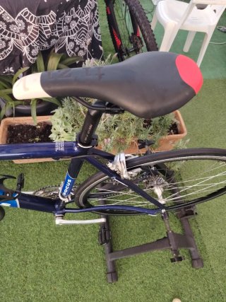 Bicicleta FOCUS talla 50