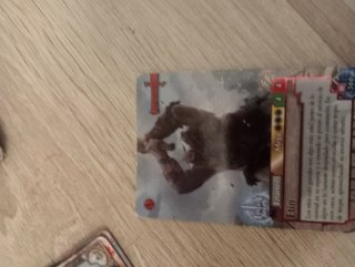 Cartas Fantasy Riders
