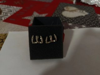 Pendientes Bisutería Diseño Garra