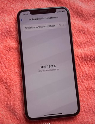 Apple iPhone X