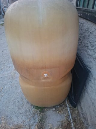 Depósito Gasolina 1000L