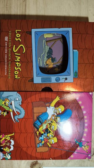 Los Simpson Colección 5ª Temporada DVD