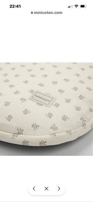 Saco Silla Paseo Blossom Rose