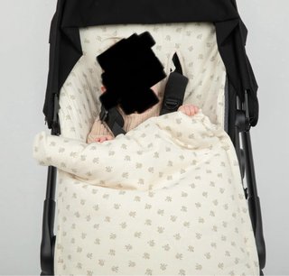 Saco Silla Paseo Blossom Rose