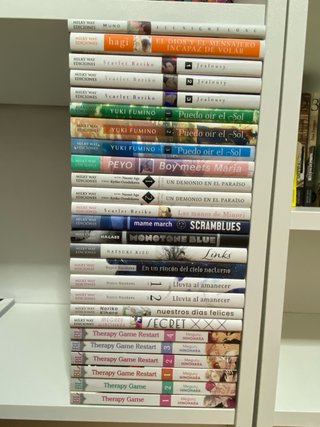 Mangas Yaoi/Bl