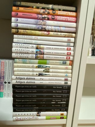 Mangas Yaoi/Bl
