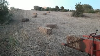 Balas de vezas para forraje