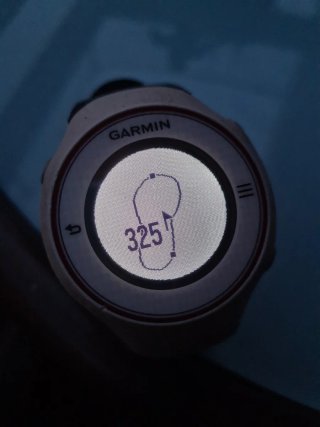 Garmin Approach S3 Reloj GPS