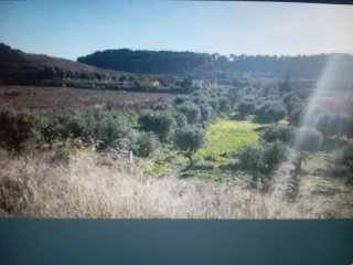 Arrendamiento de tierra rustica