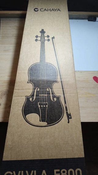 Violín con estuche y arco