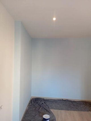 Servicios de pintura profesional