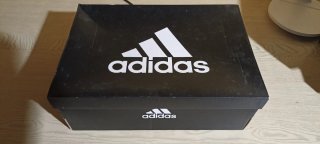 Adidas Ace Tango 17.3 TF