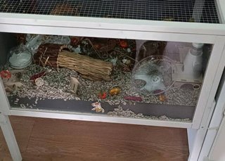 Jaula grande hamster jerbos nueva transparente