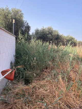 DESBROCES EN MURCIA