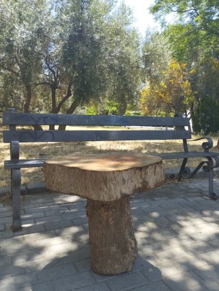 Mesa rústica artesanal de tronco de árbol