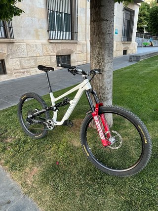 Canyon Torque Dh Kaos Edition 2023 Talla L
