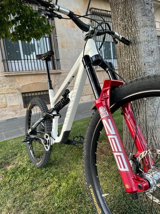 Canyon Torque Dh Kaos Edition 2023 Talla L