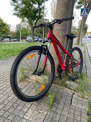 Bicicleta Specialized Niño Talla XS