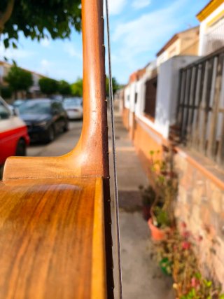 Guitarra Clásica José Ramírez
