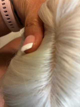 Peluca Bob rubia larga
