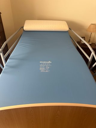 Cama geriátrica articulada, con carro elevador TEC