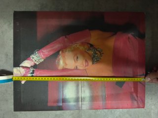 2 Quadri Marilyn Monroe su Carta