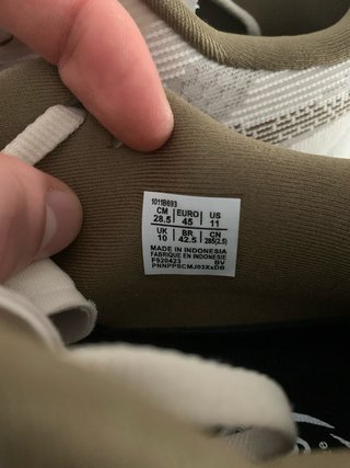 Zapatillas Asics Novablast 5 Mineral Beige