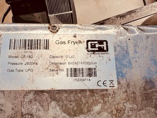 Freidora a gas doble industrial