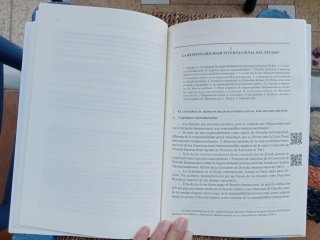 Derecho Internacional Público: Síntesis de teor...