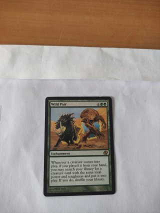 Mtg Pareja salvaje