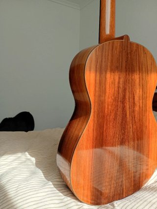 Guitarra Clásica Gabriel Ferreira 2025