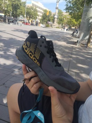 Zapatillas Adidas Grises y Doradas
