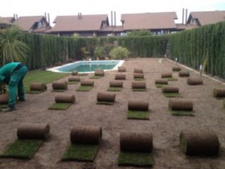 jardinero, mantenimiento y riego automatico.