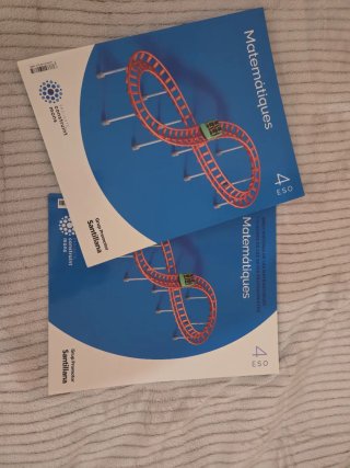 Matemàtiques, 4 ESO, Projecte Construint mons