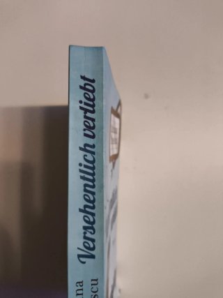 Versehentlich verliebt Roman