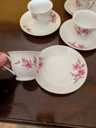 Juego de café porcelana flores rosas