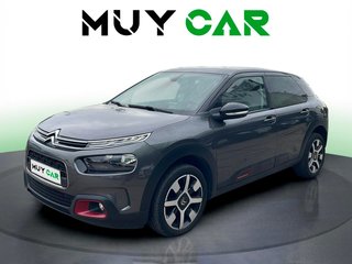 Citroen C4 Cactus BlueHDi 100 S&S Live 73 kW (99 CV)