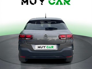 Citroen C4 Cactus BlueHDi 100 S&S Live 73 kW (99 CV)
