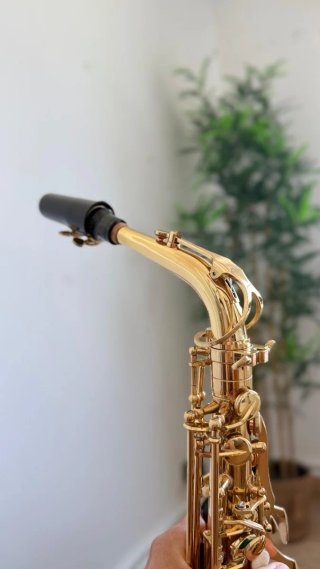 Saxofón Alto Dorado Como Nuevo