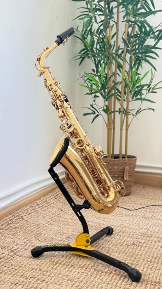 Saxofón Alto Dorado Como Nuevo