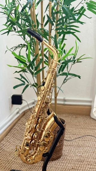 Saxofón Alto Dorado Como Nuevo