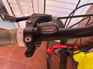 Bicicleta Wolfbike 29”