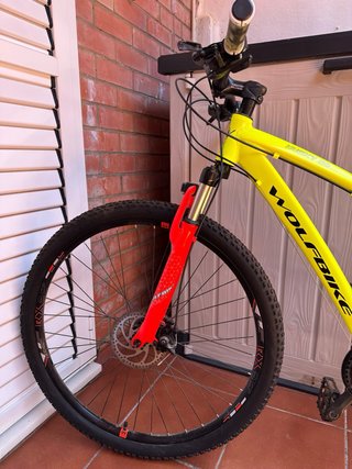 Bicicleta Wolfbike 29”