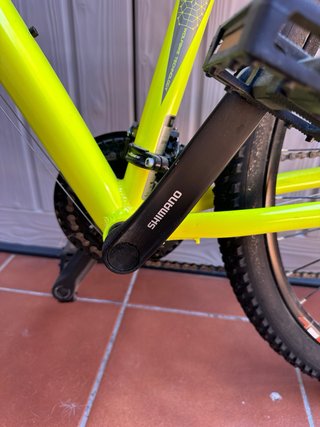 Bicicleta Wolfbike 29”
