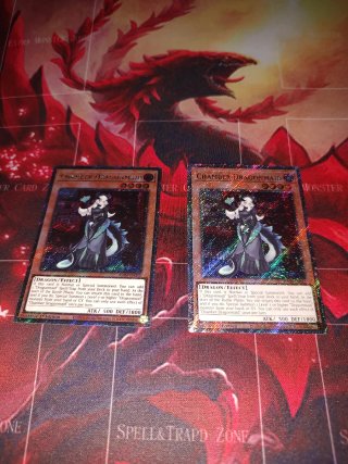 Chamber Dragonmaid Rara Yugioh