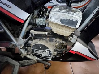 FDX/VARIANT/APRILIA/ANTORCHA DERBI (Sin papeles)
