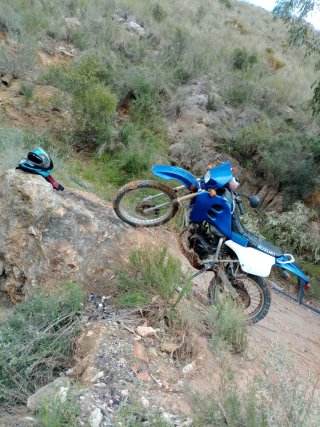 Suzuki RMX 50 Enduro Azul/Blanco