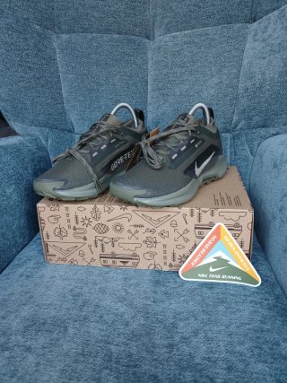 Nike Pegasus Trail 5 GORE-TEX SP Verde