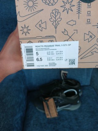 Nike Pegasus Trail 5 GORE-TEX SP Verde