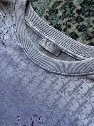 Camiseta Dior x Daniel Arsham Oblique Gris/Blanco